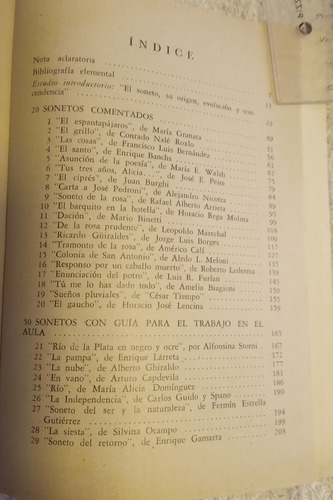 Libro 100 Sonetos Argentinos Antologia Comentada