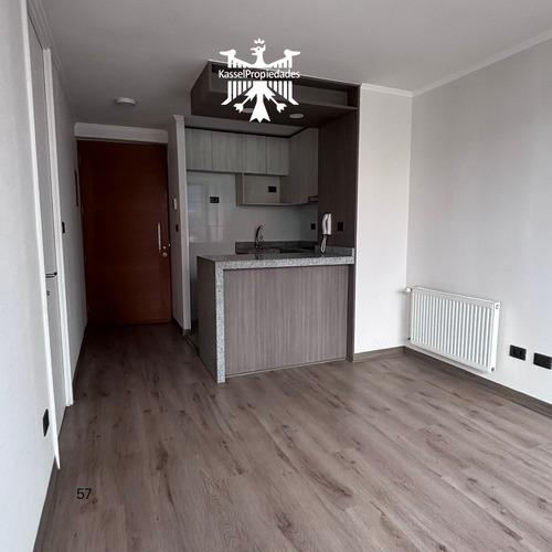 Se Arrenda Departamento De 1 Dormitorio En Concepción
