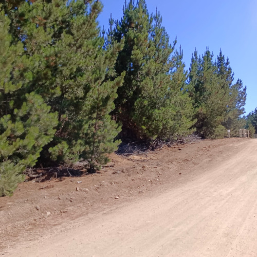 Parcela En Condominio Loma Verde 5.000 M2 Algarrobo