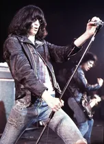 Comprar Posters The Ramones Afiches Musica Punk Rock Lona 90x60 Cm