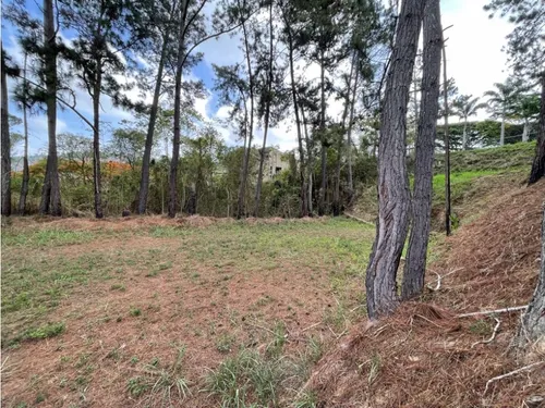 Terreno En La Lagunita