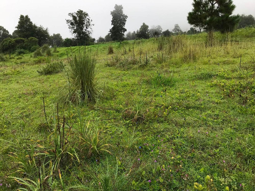 Imagen 2 de 5 de Terreno Para Día De Campo