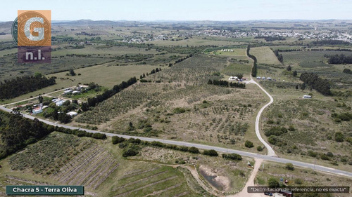 Campos Y Fracciones (ruta 9, Pan De Azúcar) Ref. 5631