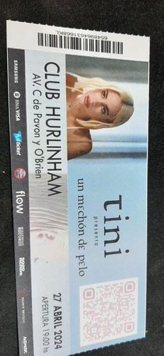 Tini - Ticket Souvenir De Recuerdo -un Mechón De Pelo