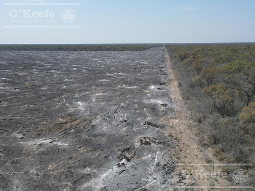 Campo En Venta 4100 Has.santiago Del Estero.apto Bonos Verde
