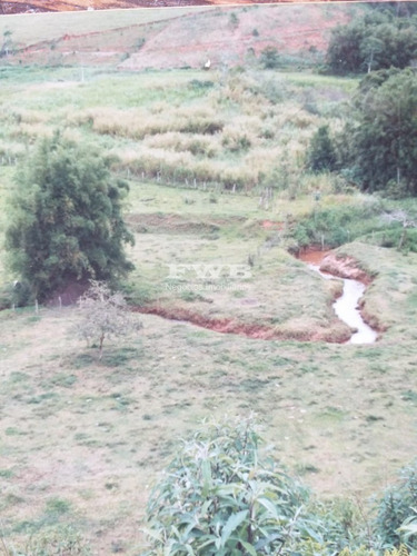 Imagem 7 de 28 de Fazenda Em Rio Preto Minas Gerais - 2044007423 - 67629041