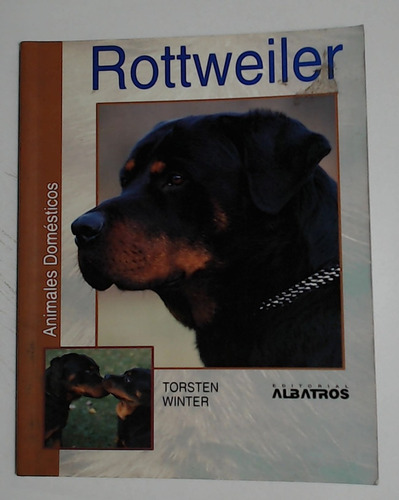 Rottweiler - Winter, Torsten