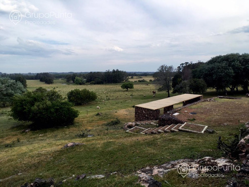 Imagen 20 de 29 de Chacra En Venta - La Pataia