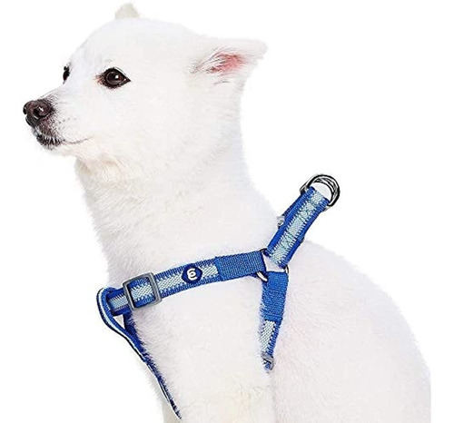 Blueberry Pet Essentials Step-in Reflective Back To Basics A