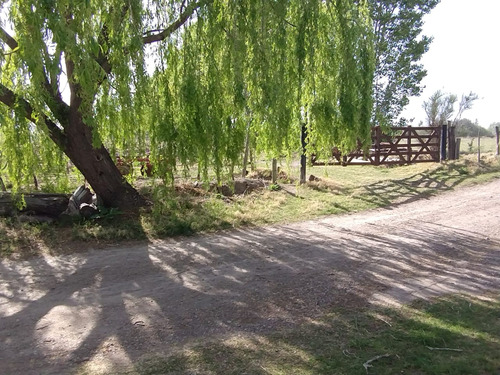 Finca Viñedos En Venta En San Carlos, Valle De Uco