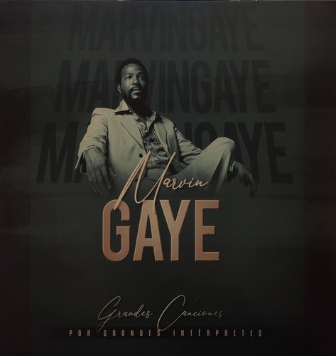 Grandes Canciones Vol 7 - Gaye Marvin (vinilo)
