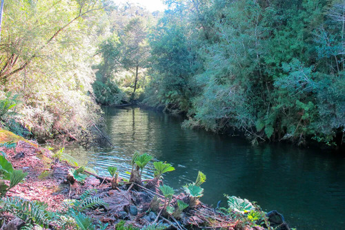 Venta Terreno Parcela Aysen Puerto Bonito A Orilla Del Mar