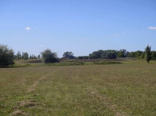 Imagen 6 de 8 de Lote En Venta En Lujan. Open Door