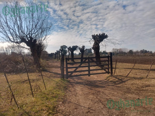 Imagen 3 de 21 de Venta De Campo De 23 Hectáreas En General Rodriguez.