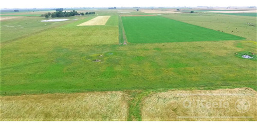 Imagen 5 de 17 de Campo En Venta 780 Has Mixto En Chascomus- 90 % Clase Iii.