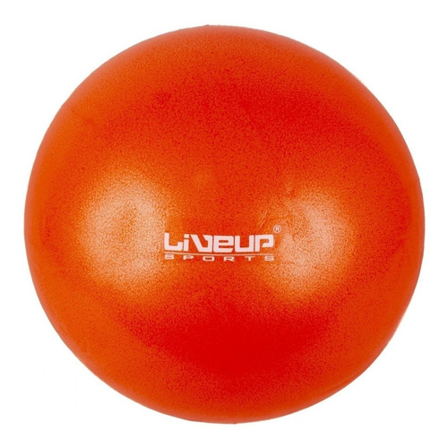 Bola Pilates Overball Yoga 25cm Fisioterapia Liveup Promoção