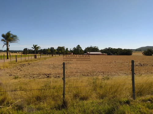 Chacra En Alquiler Anual 36 Hectáreas Sobre Ruta Interbalnearia, A Minutos De Piriápolis