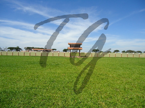 Imagem 13 de 13 de Fazenda - Fa00003 - 69828304