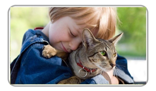 Manta Cobertor Soft Para Pet Cachorro E Gato Kit Com 3unid.