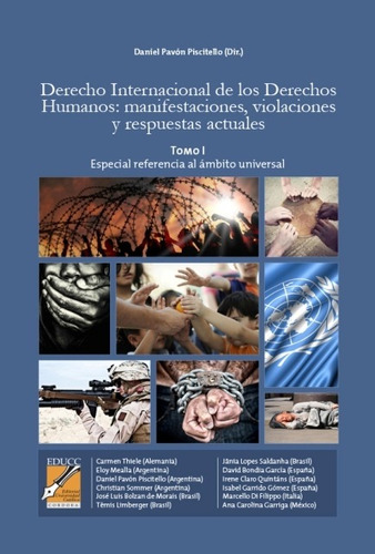 Derecho Intern De Derechos Humanos T.1, Piscitello, Educc