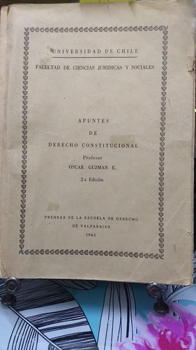 Apuntes De Derecho Constitucional // Guzman