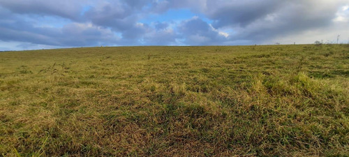 Imagem 4 de 14 de C03- Promoção Terrenos De 10.000m² Em Igaratá
