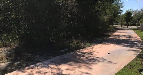 Imagen 2 de 7 de Terreno En Venta En Merida Yucatan Country Club