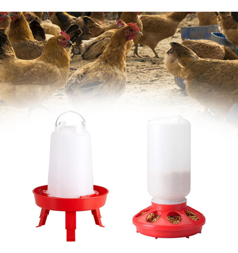 Kits De Comedero Y Bebedero Para, Comedero Para Codornices,