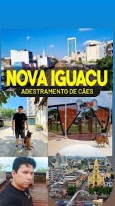 Adestramento E Educação Completa De Filhotes Rj