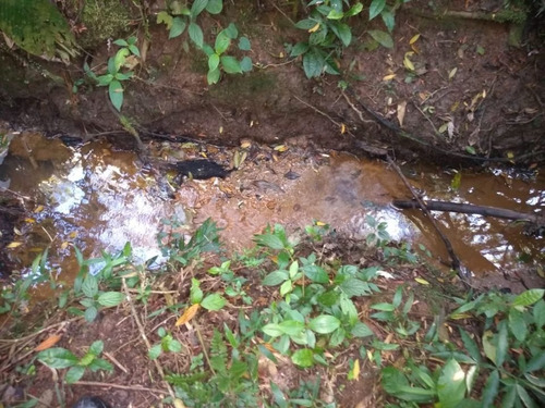 Vendo Terreno Em Ribeirão Píres-sp Com Nascente Nos Fundos