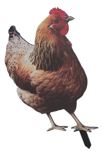 Estaca Acrílica De Imitación De Gallina Para Tapón De Suelo,