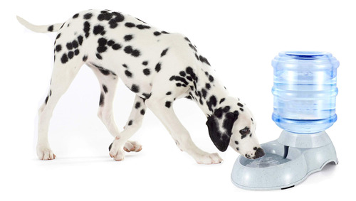 Blessed Family Dispensador De Agua Por Gravedad Para Mascota