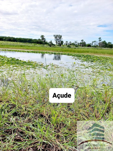 Imagem 5 de 18 de Chácara A Venda Lagoa Das Pedras, Povoado Mandú