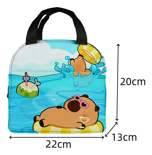 Bolsa De Almuerzo Aislante Para Picnic Al Aire Libre De 2 Pi
