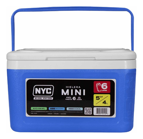 Mini Hielera Recipiente Contenedor De Plástico 4.7 Lts