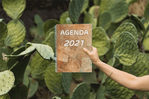 Imagem 3 de 7 de Agenda 2021 Vintage Mármore