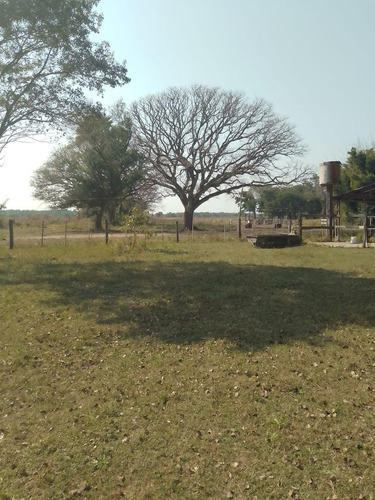 Campo En Venta - Chaco, Dpto Bermejo, Estancia Mongay, 5.700 Ha.