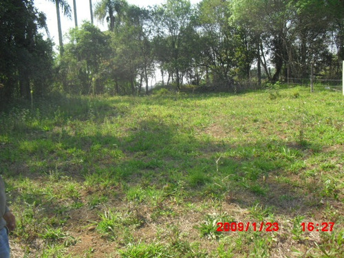 Imagem 12 de 13 de Terreno Próximo A Cidade