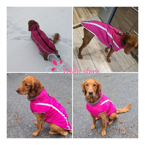 Parka Impermeable Reflectante Para Perros