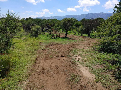 Imagen 14 de 14 de Preventa De Lotes De 1000m2 Y 1250m2 En San Luis