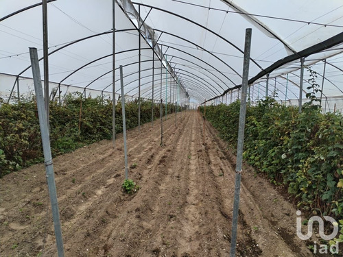 Venta Rancho 4 Ambientes San Juan Tuxco