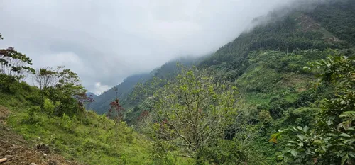 Venta De Lote En Santa Bárbara Vereda Pitayó Lote No. 2a