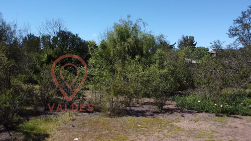 Terreno En Los Pinos Excelente Conectividad