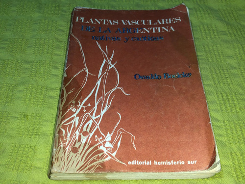 Plantas Vasculares De La Argentina, Nativas Y Exóticas