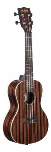 Kala Ebony Series Ka-eby-c Concert Ukulele, Satin/stripe Eeb