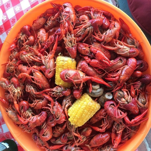 Sazonador Mariscos Zatarain's Crawfish Shrimp Crab Boil 113g