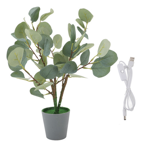 Árvore De Eucalipto De Mesa Vermelha: Led Verde Encantador É