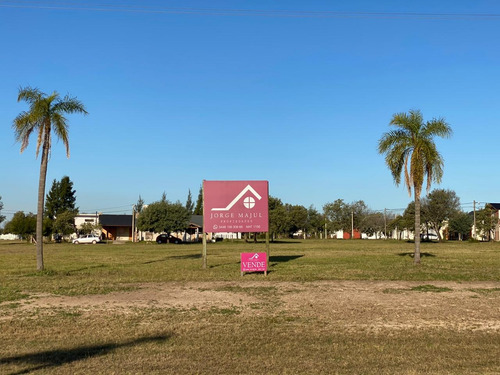 Imagen 1 de 8 de Lotes En Venta