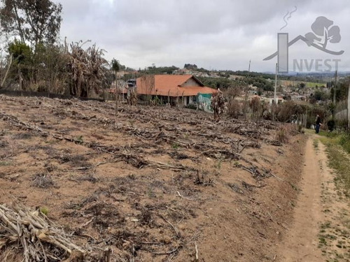 Imagem 1 de 5 de Cod 6099 - Lindo Terreno Plano De 1000mts - 6099