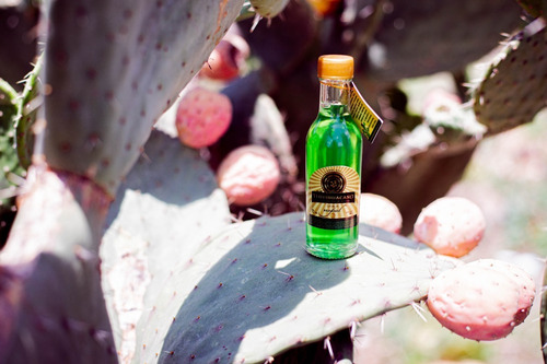 Imagen 4 de 4 de Bebida Artesanal Licor De Nopal 50 Ml